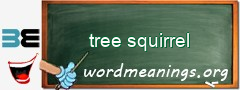 WordMeaning blackboard for tree squirrel